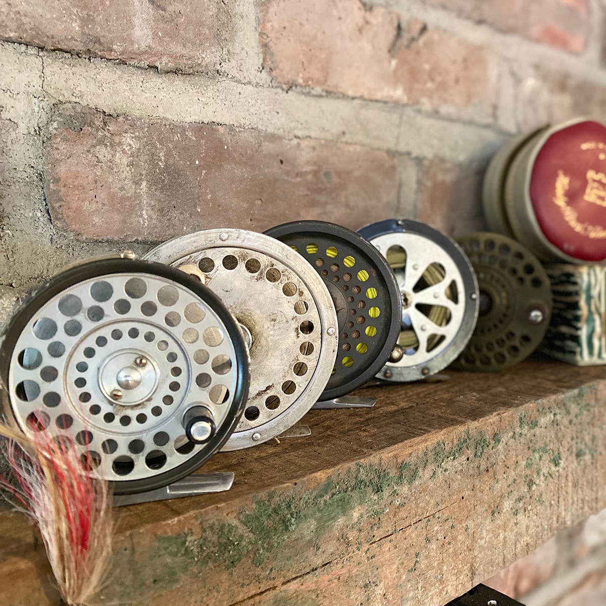 FLY HAUS Fly Fishing Reels