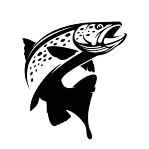 Guided Fly Fishing Trips